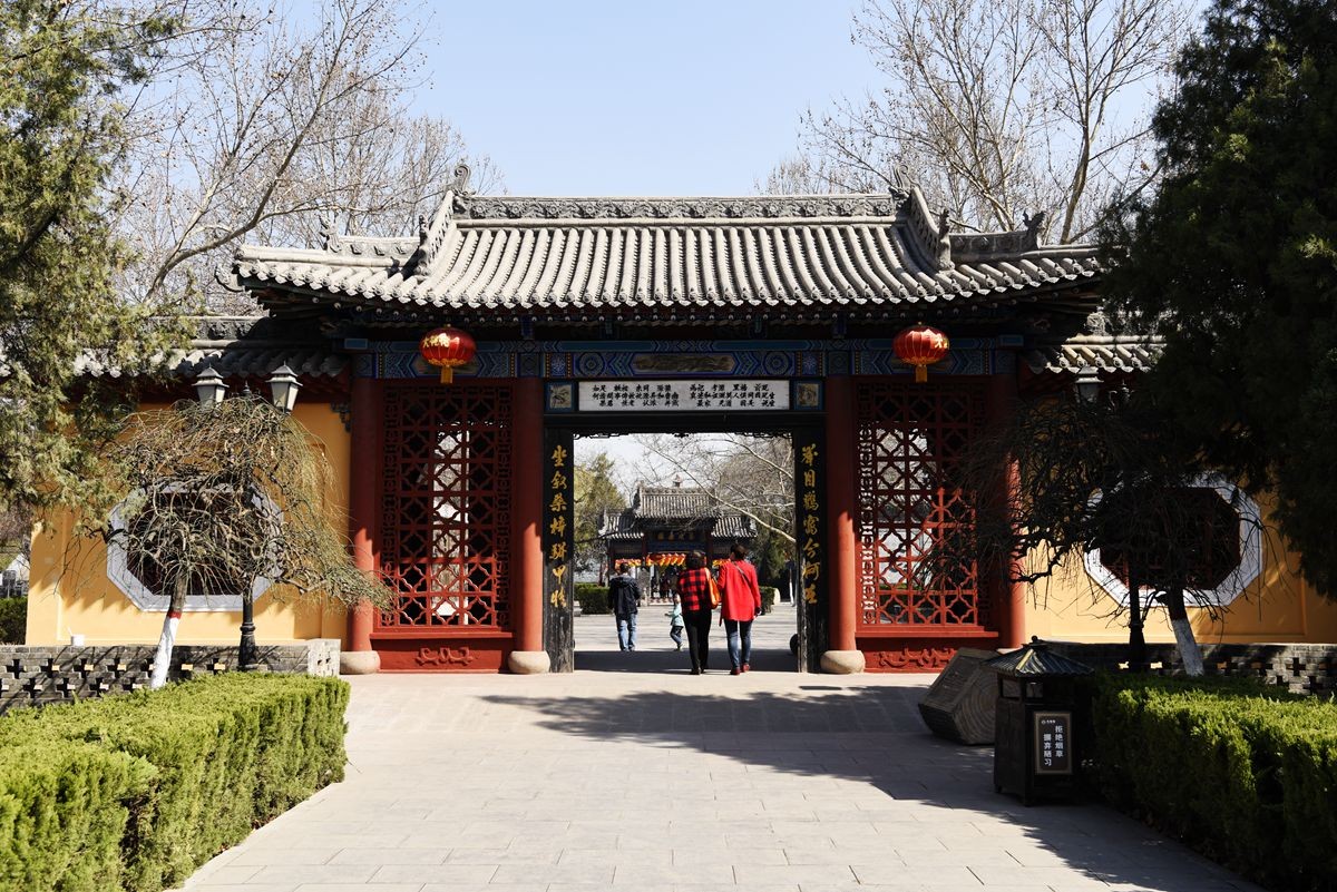 洪洞大槐树（五）