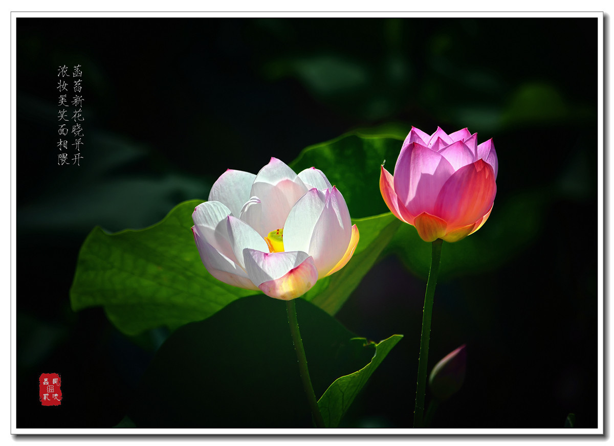 #版主坐堂# 2016年7月《尼康D5200》星空(中国)优秀作品选编