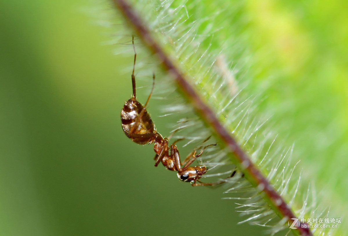 #版主坐堂# 2016年7月《尼康D5200》星空(中国)优秀作品选编