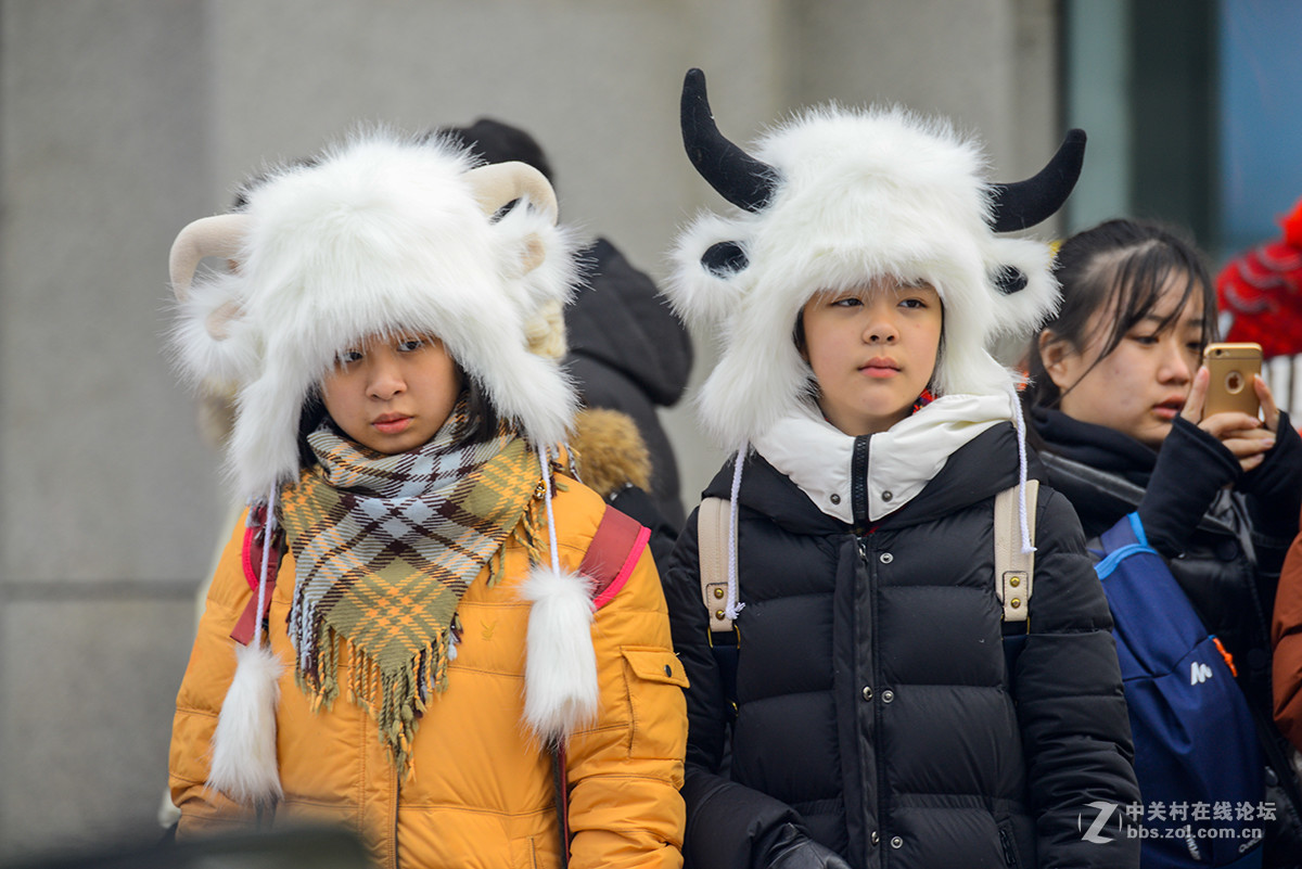恭贺新年-元旦扫街