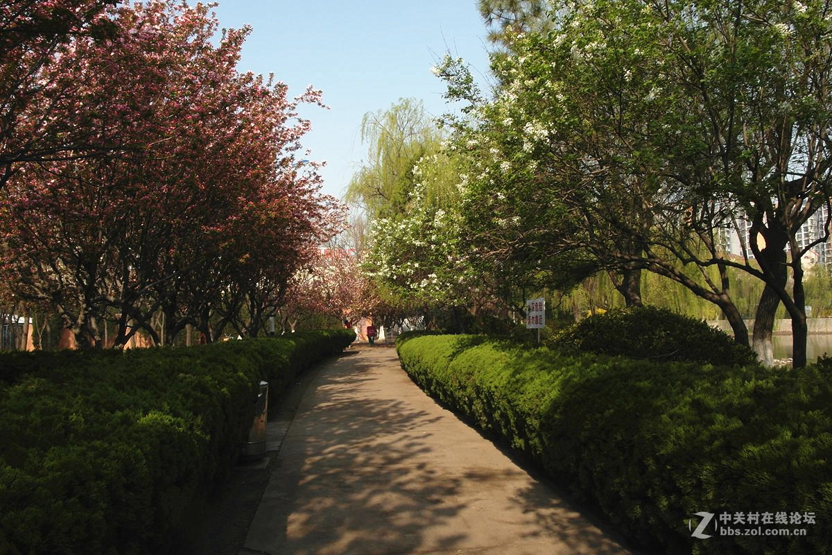 EX1-『春色惹人醉』123...12P