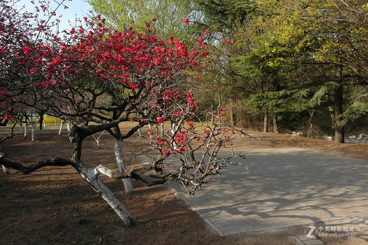 EX1-『春色惹人醉』123...12P