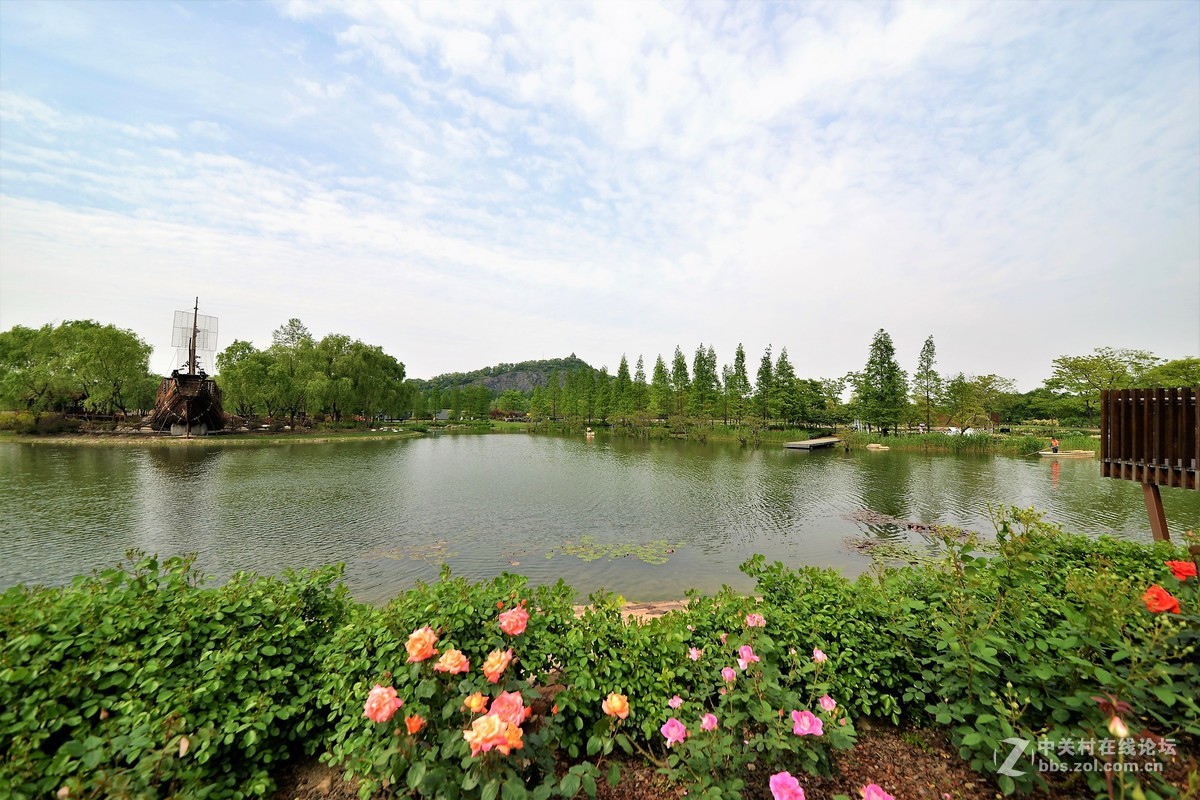 点缀春色 争芳斗妍（2017上海辰山植物园国际月季花展之一）