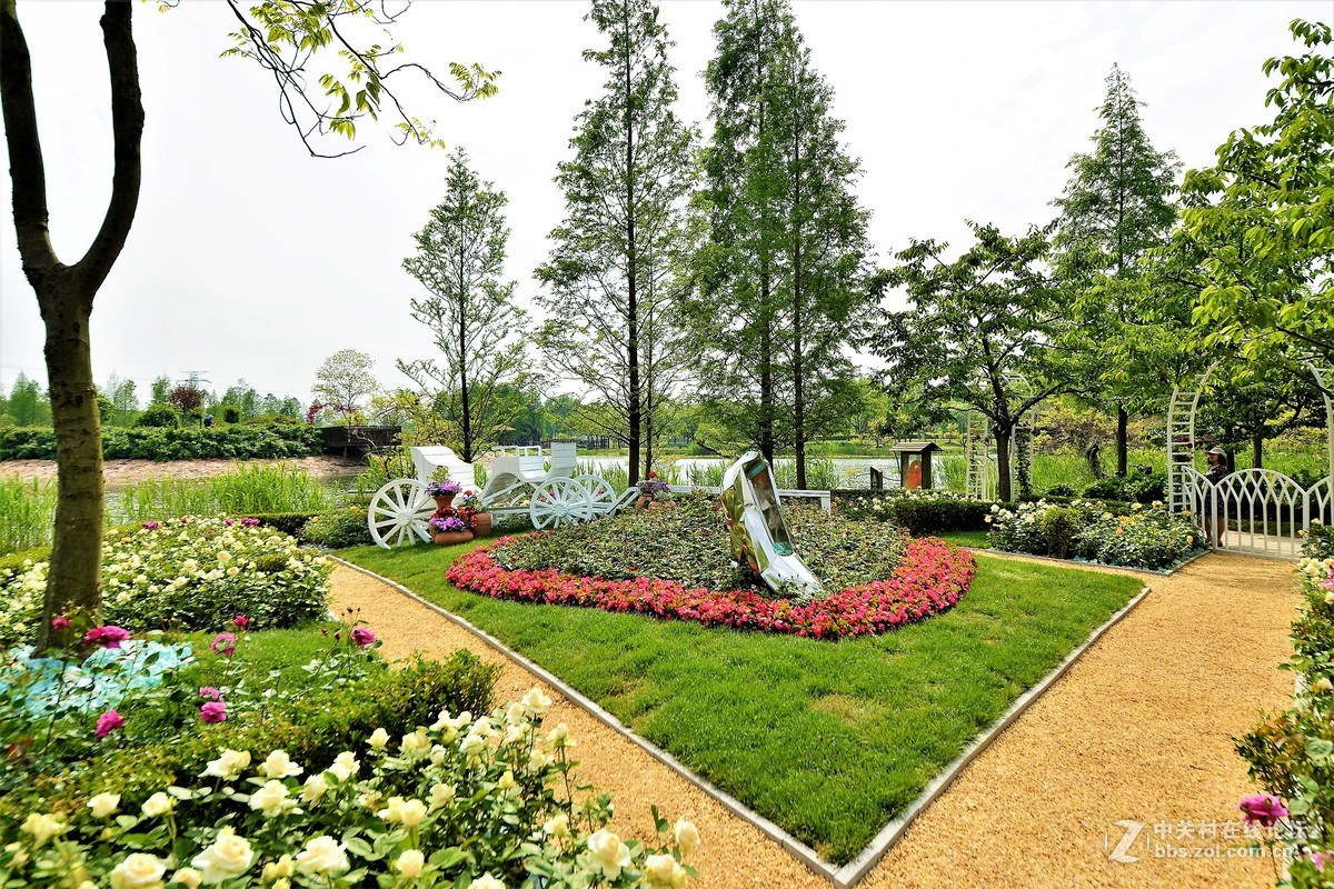 点缀春色 争芳斗妍（2017上海辰山植物园国际月季花展之一）