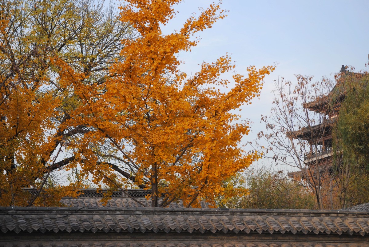 老机拍片；观湖光景色立觉神情气爽身心舒广！