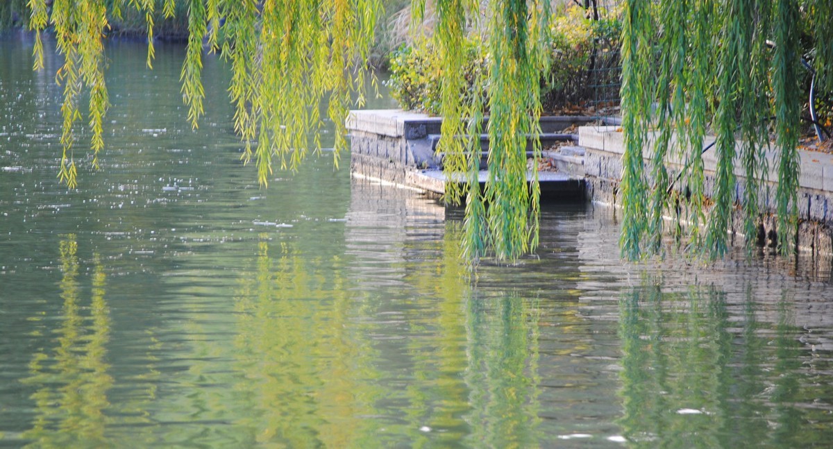 老机拍片；观湖光景色立觉神情气爽身心舒广！