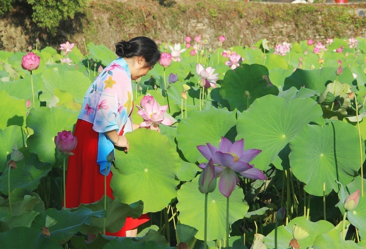 红衣美女