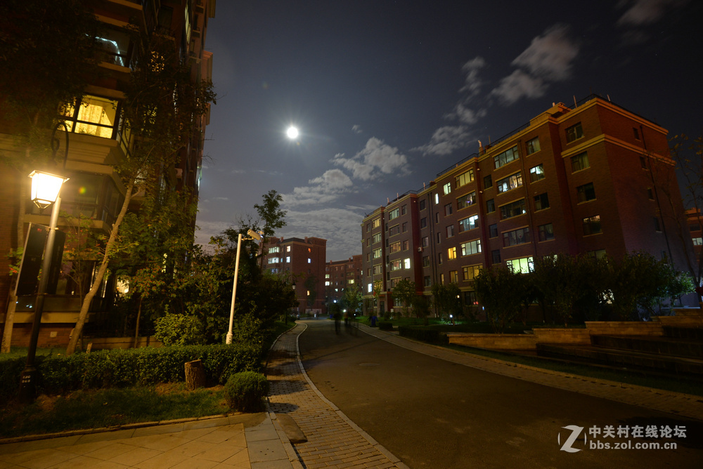 小区月色中秋之夜