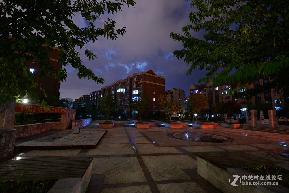 小区月色中秋之夜