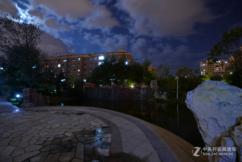 小区月色中秋之夜