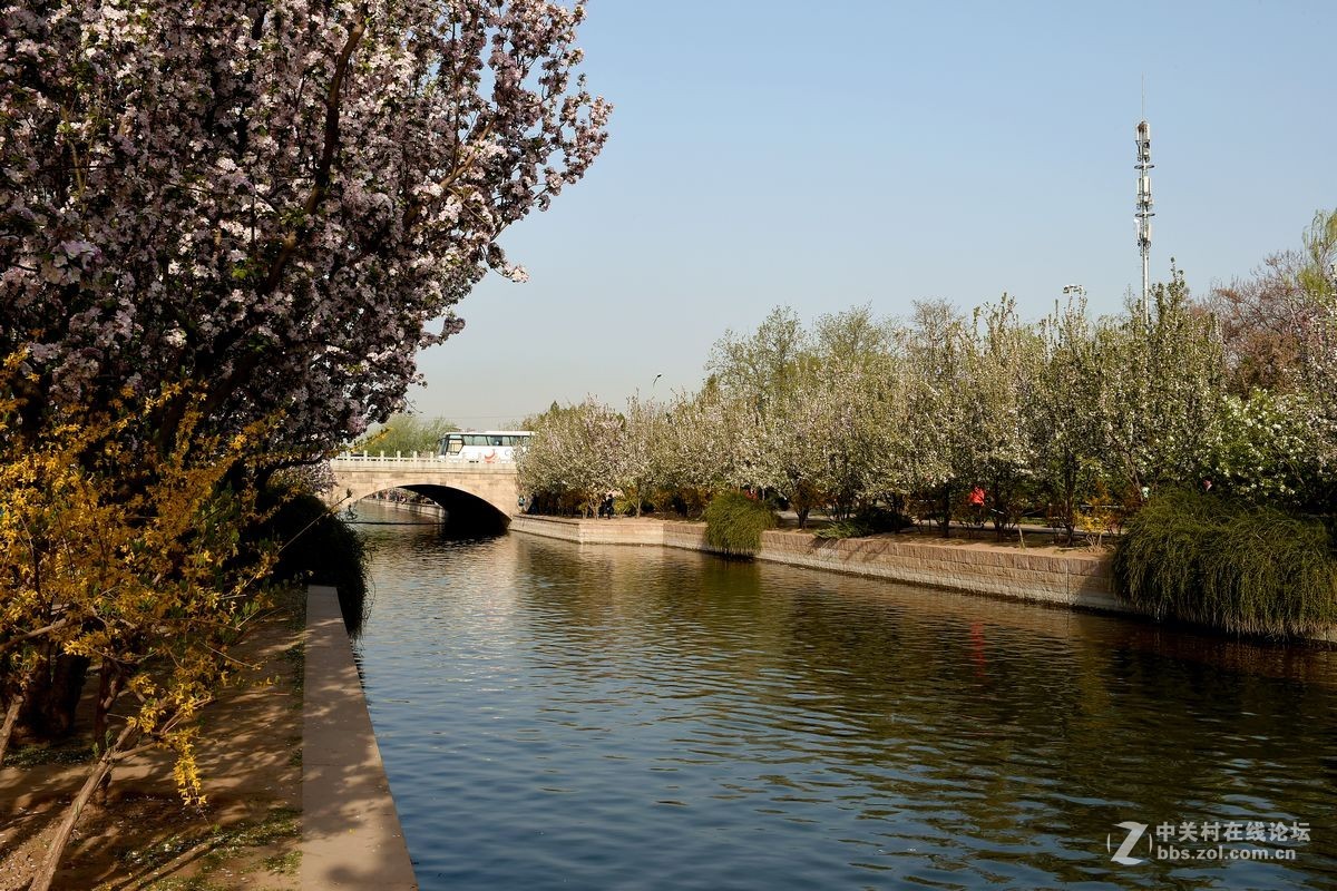 “海棠花溪”的风景