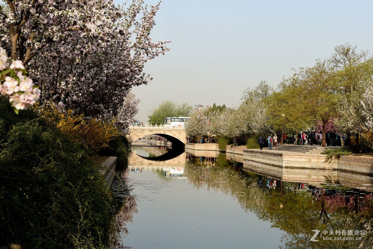 “海棠花溪”的风景