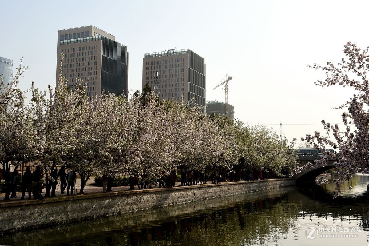 “海棠花溪”的风景