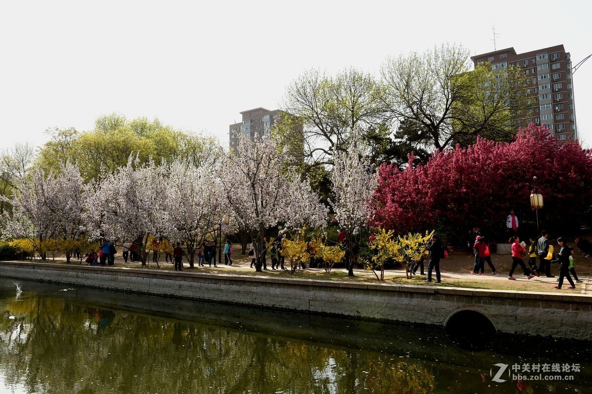 “海棠花溪”的风景