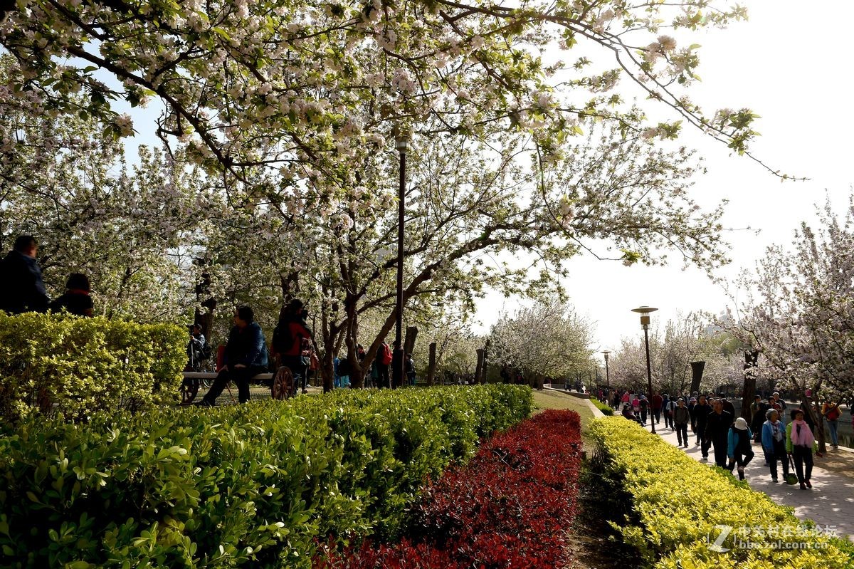“海棠花溪”的风景