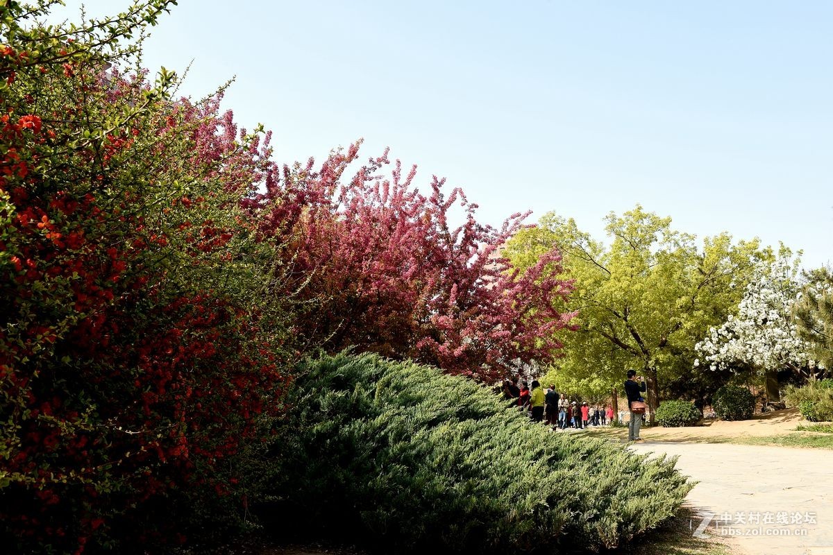 “海棠花溪”的风景