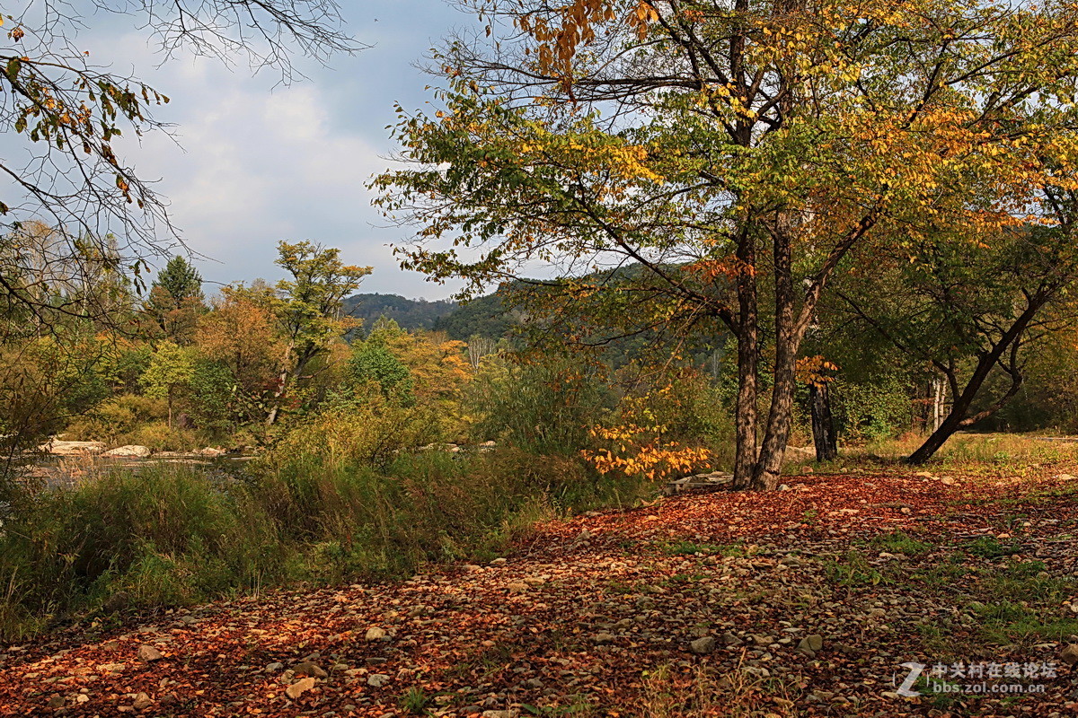 神州游拍——小兴安岭永翠河之秋