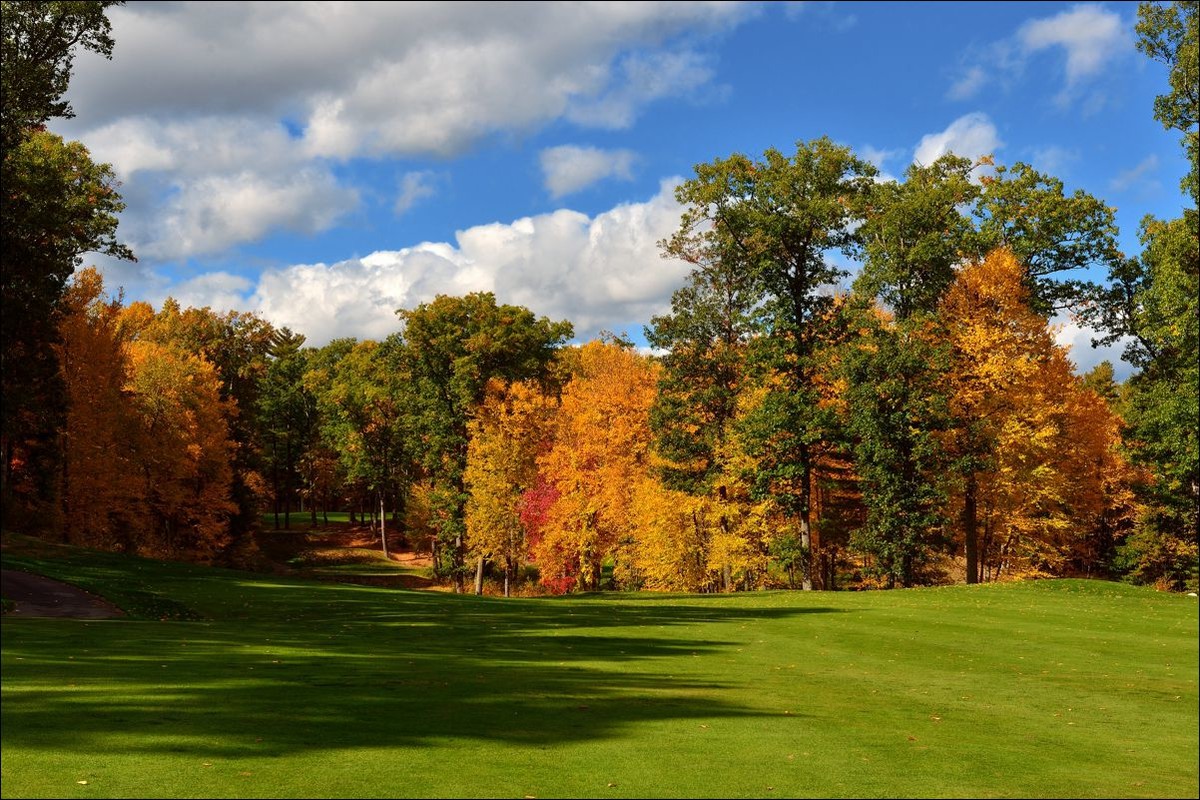 休闲随拍（326）