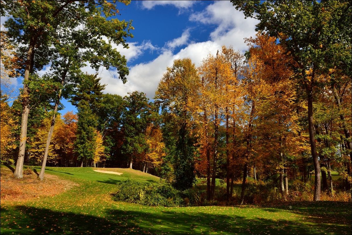 休闲随拍（326）