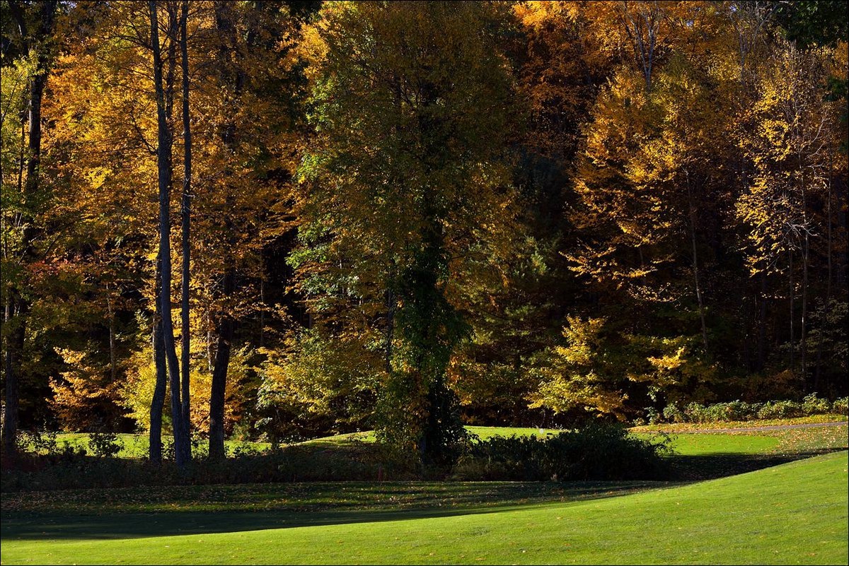 休闲随拍（326）