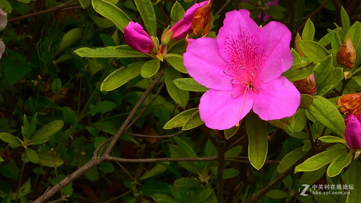 春花夏發