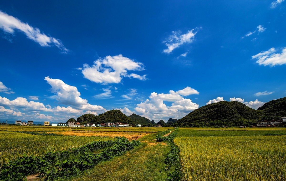 乡村田野风光风景记实拍摄 续-中关村在线摄影论坛
