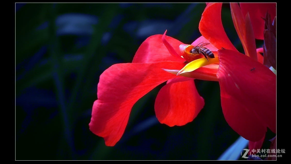 #版主坐堂#  2015年8月《佳能EF 24-105mm f/4L  IS USM镜头》星空(中国)优秀作品选编