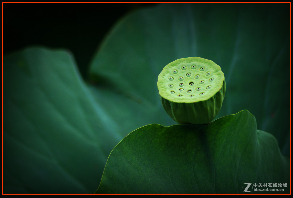 #版主坐堂#  2015年8月《佳能EF 24-105mm f/4L  IS USM镜头》星空(中国)优秀作品选编