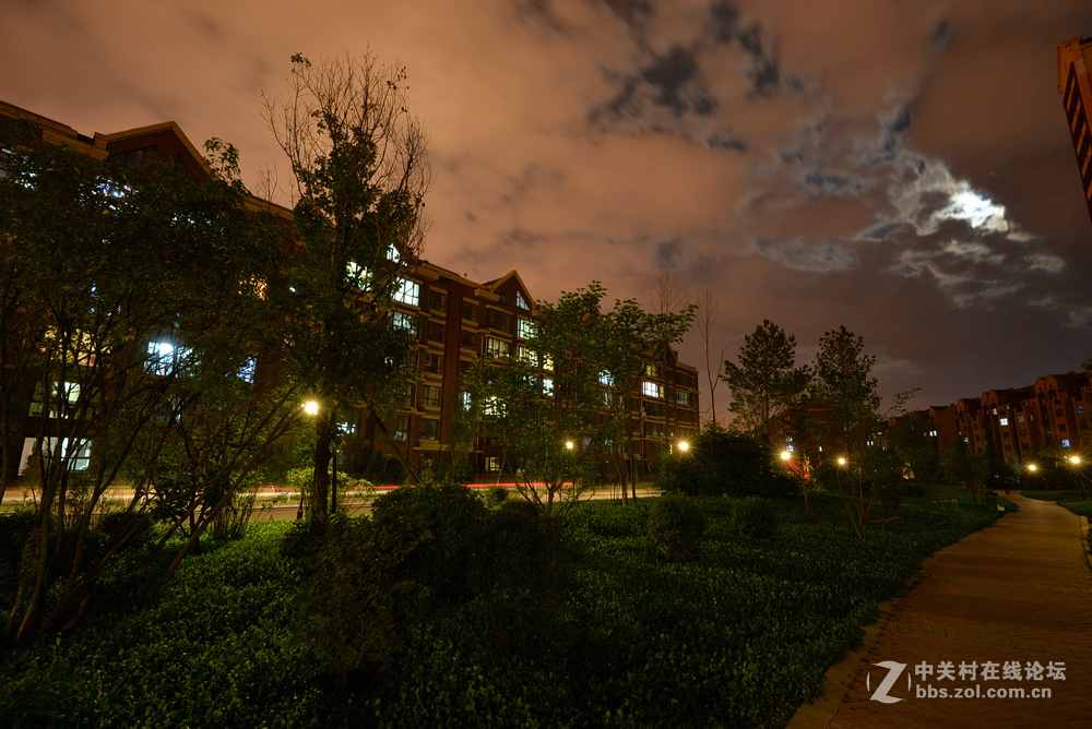 小区月色中秋之夜