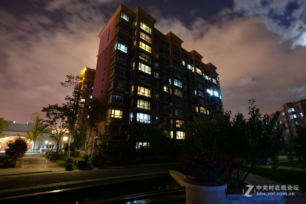 小区月色中秋之夜