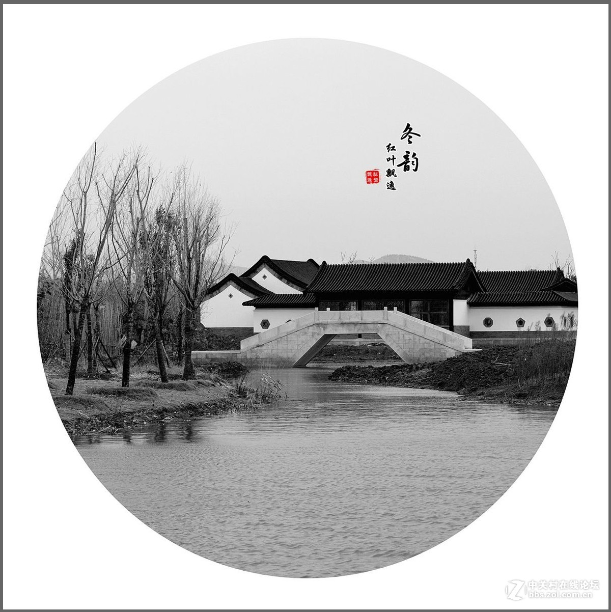 南湖冬韵(拍摄于淮北南湖湿地公园)