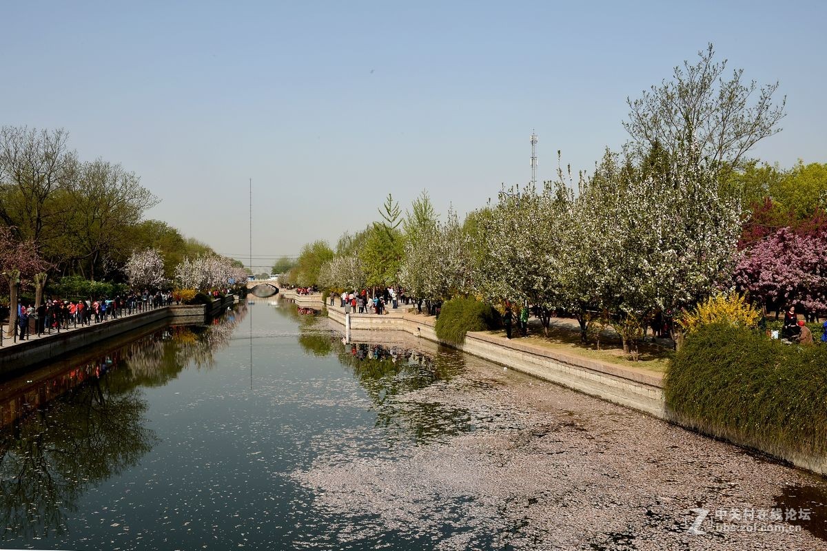 “海棠花溪”的风景