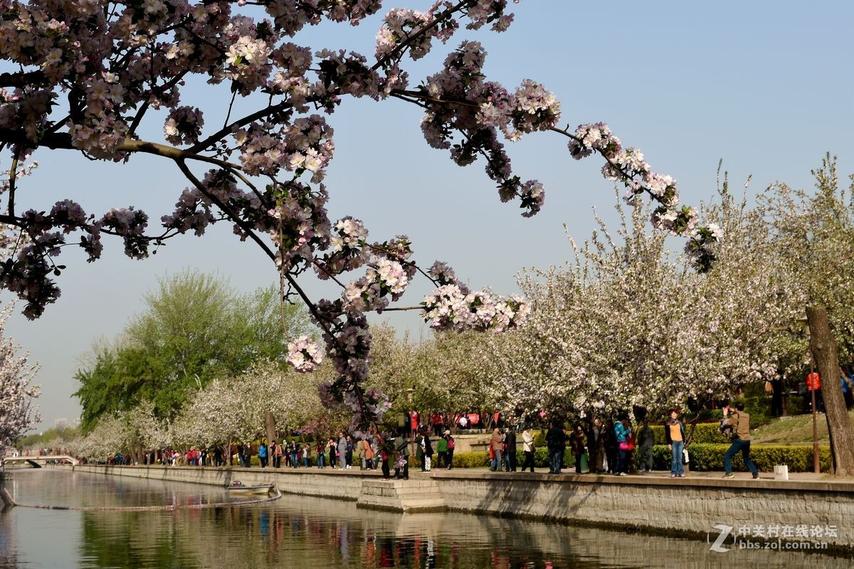 “海棠花溪”的风景