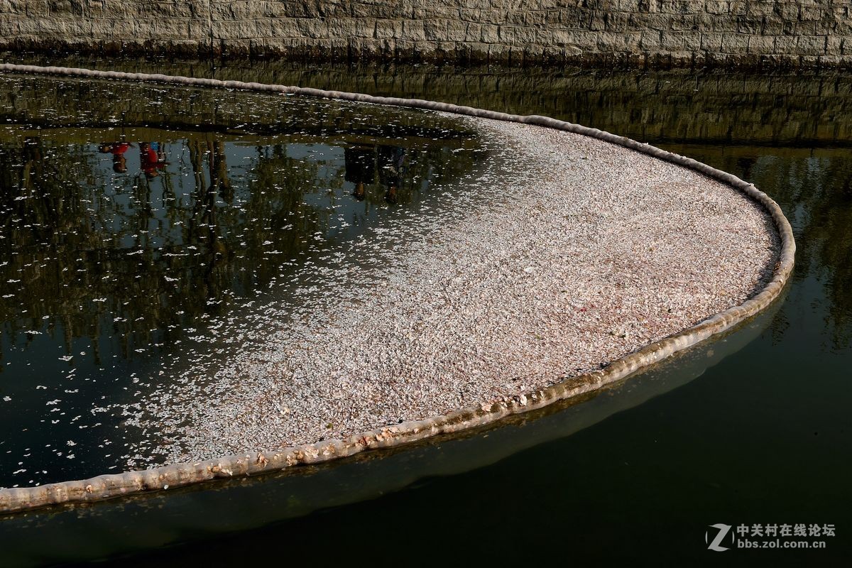 “海棠花溪”的风景