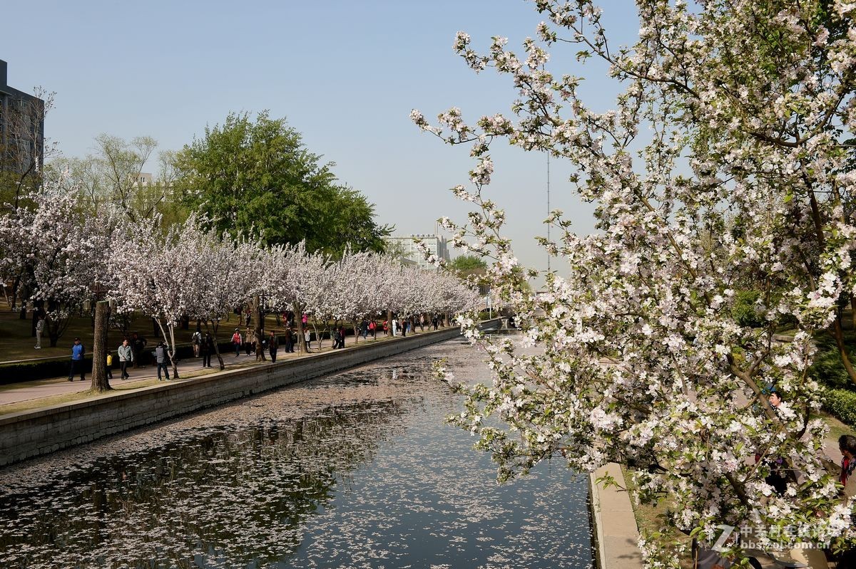 “海棠花溪”的风景