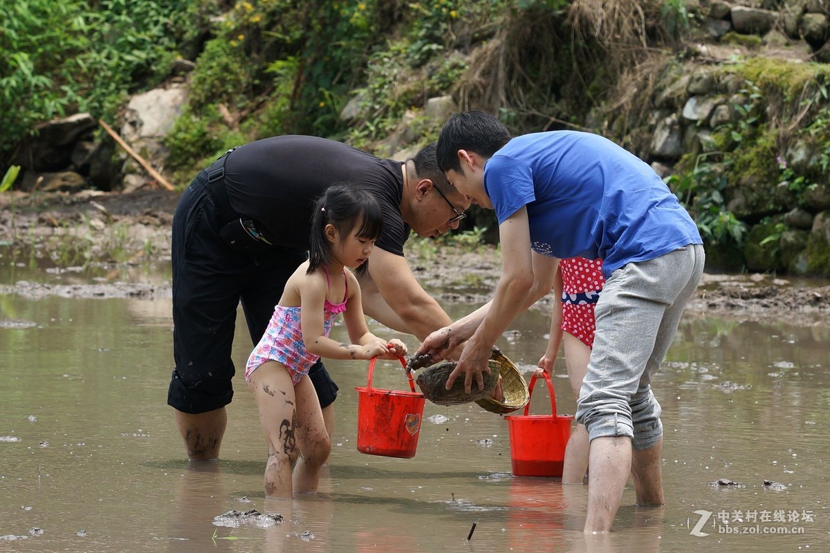 越南捉鱼的小女孩图片