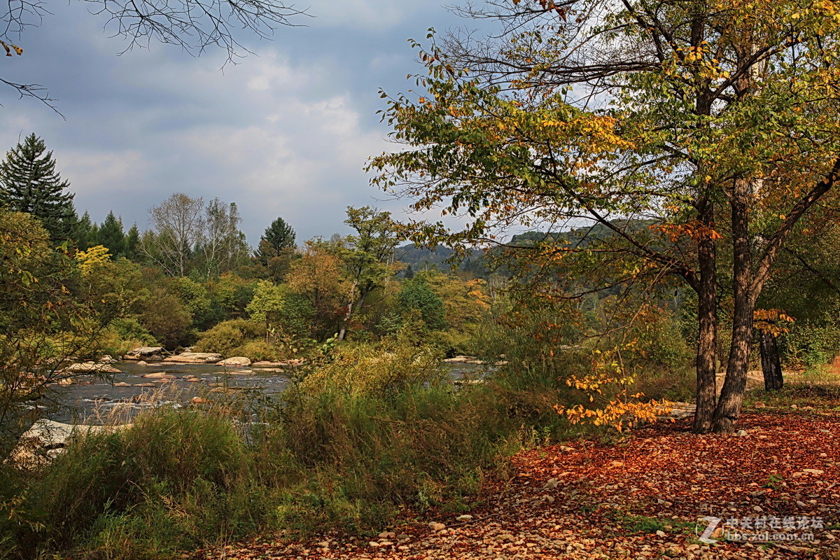 神州游拍——小兴安岭永翠河之秋
