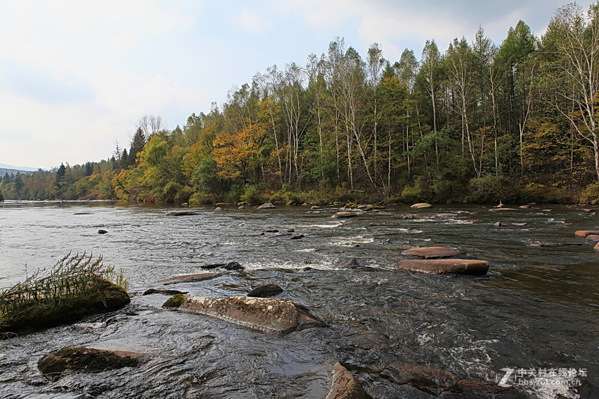 神州游拍——小兴安岭永翠河之秋
