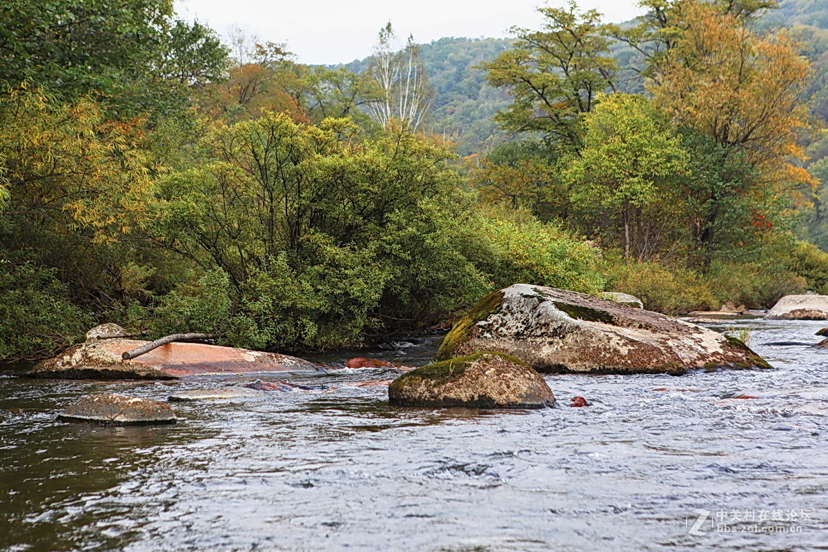 神州游拍——小兴安岭永翠河之秋