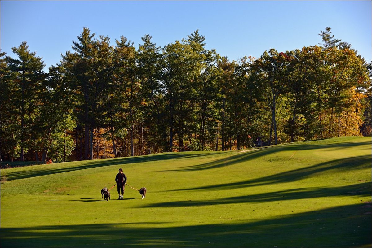 休闲随拍（326）