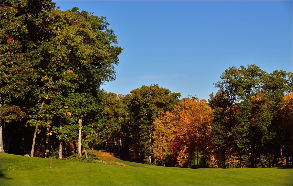 休闲随拍（326）