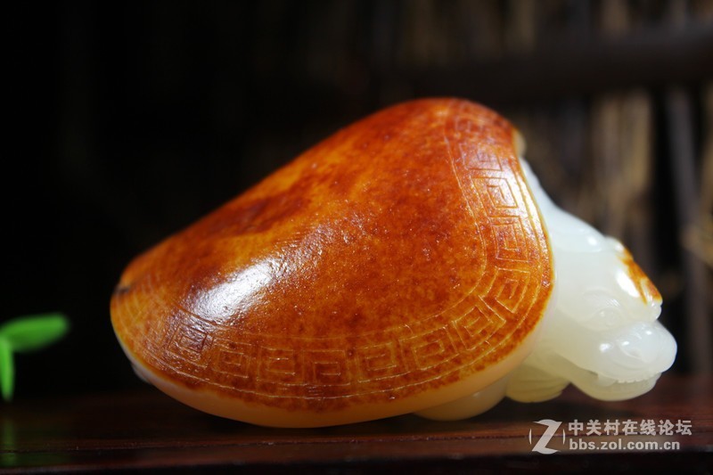 这还我的宝贝吗！！