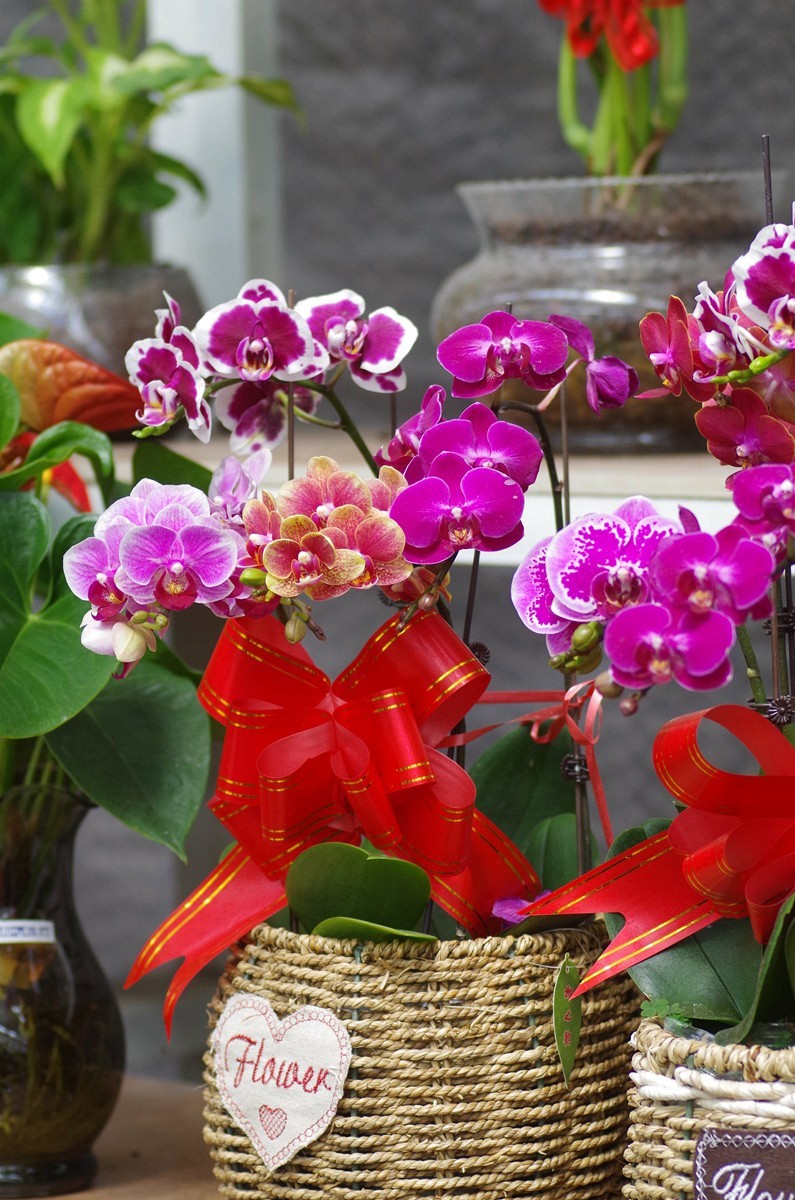 宾得K50+图丽80-200随拍