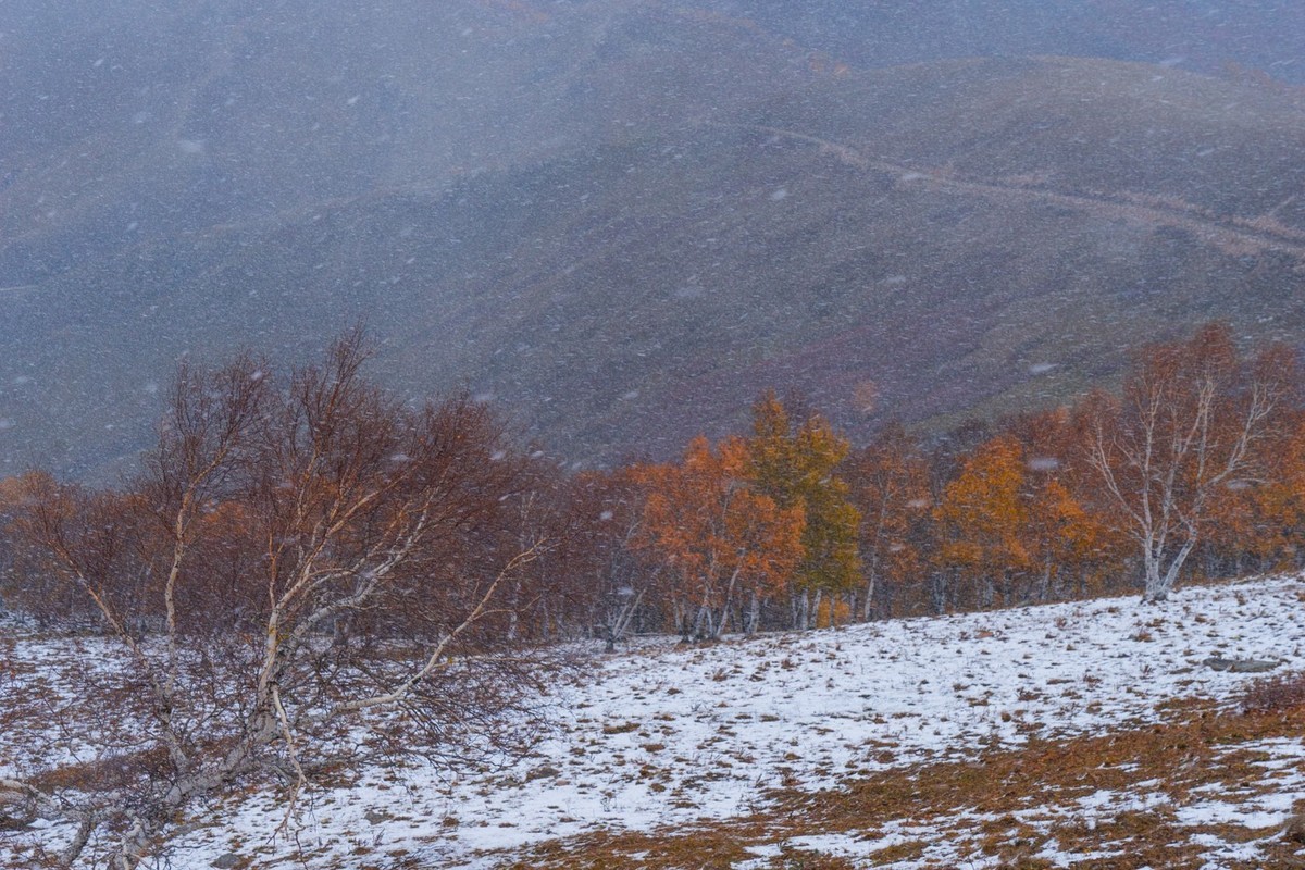 克旗瞰秋（六十五）------阳光总在风雨后