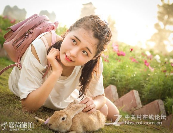 钦州格桑花开！新手勿喷！