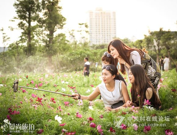 钦州格桑花开！新手勿喷！