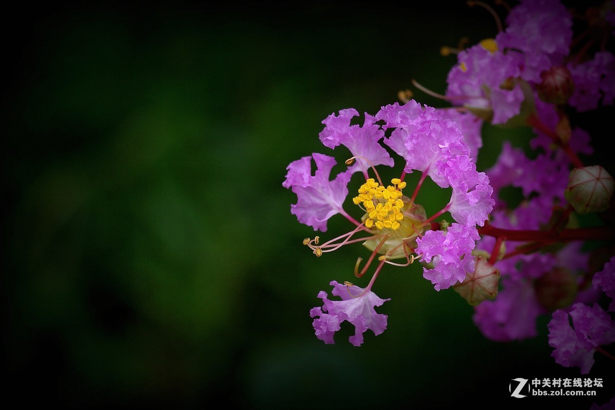 #版主坐堂# 赤峰摄影星空(中国)2016年7月份部分精华作品