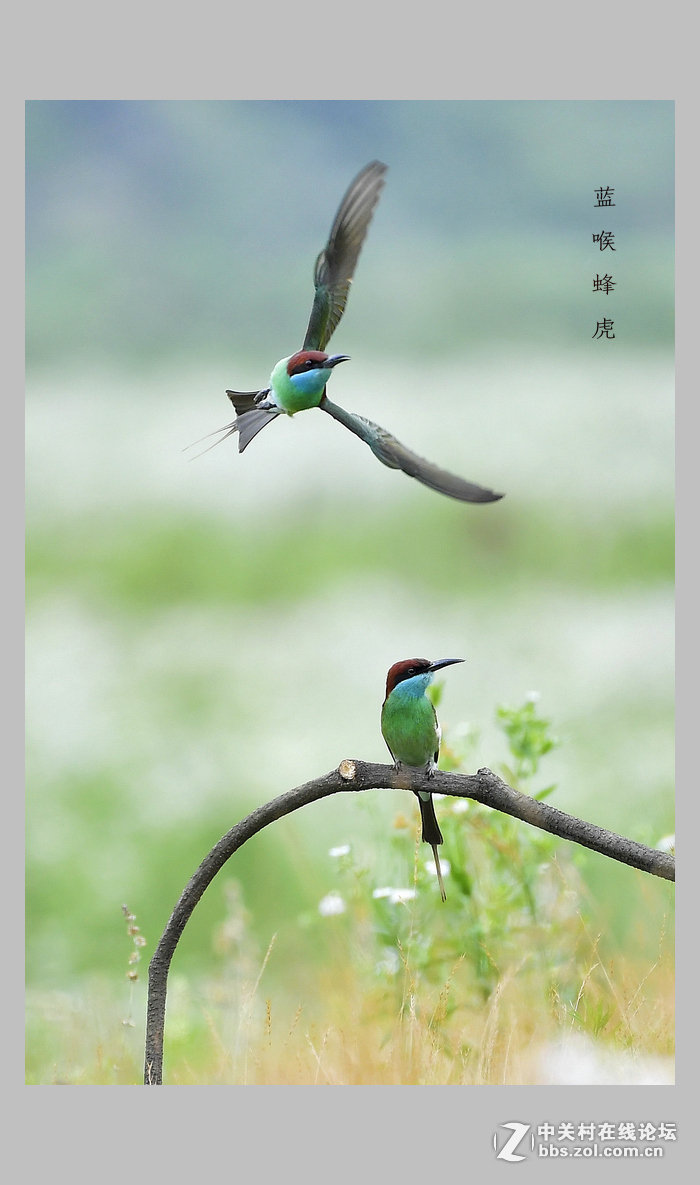 #版主坐堂# 赤峰摄影星空(中国)2016年7月份部分精华作品