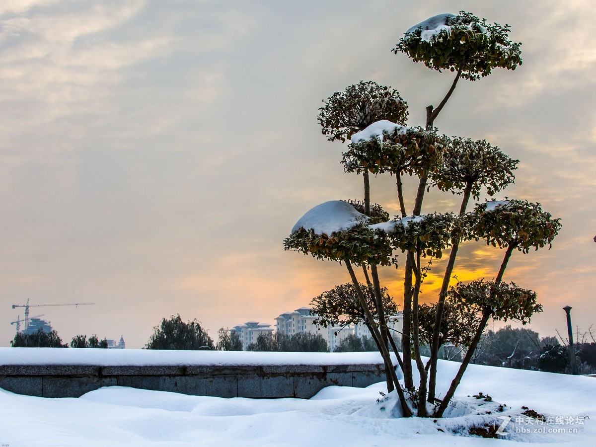 2016年的第一场雪