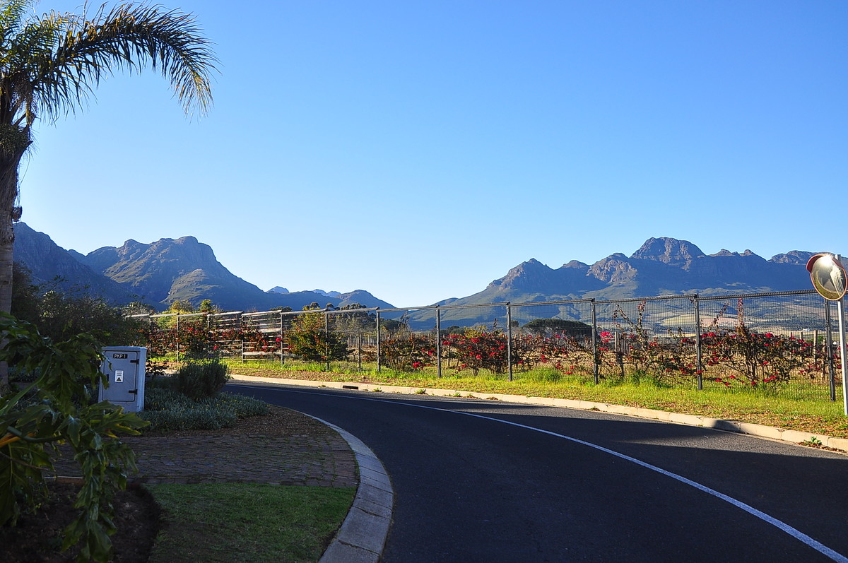 南非之旅（13）斯泰伦伯斯